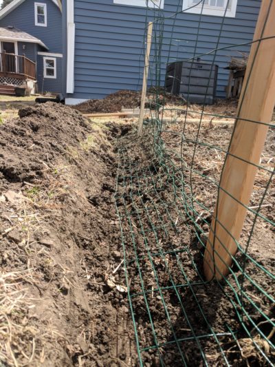 Photo of the fence trench with the fencing wire bent into the trench to prevent rabbits from being able to dig under the fence.